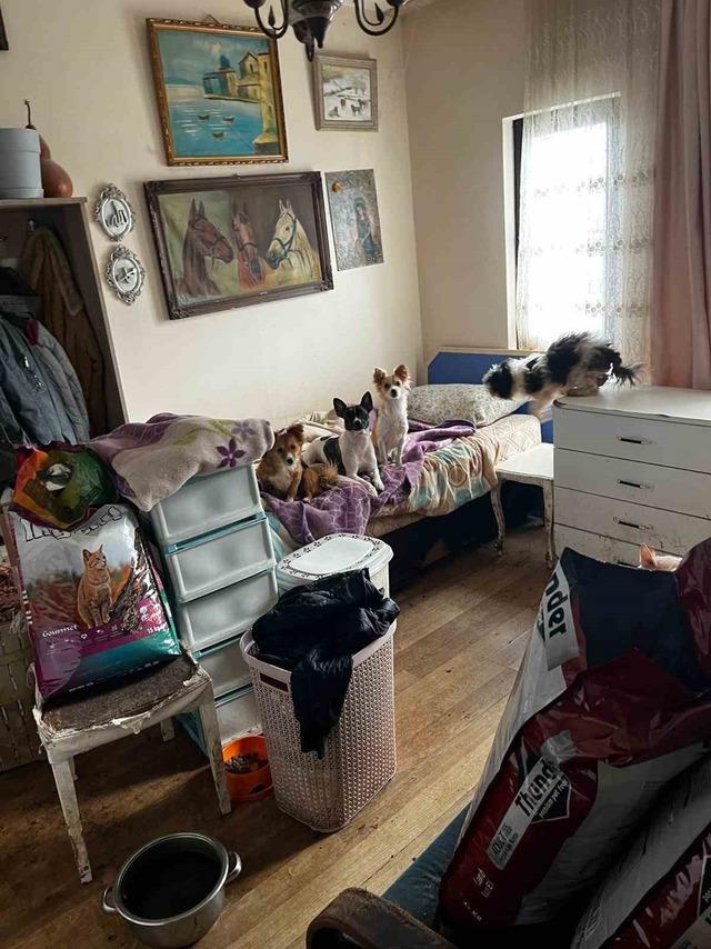 Kapı a&ccedil;ılınca karşılaşılan manzara şoke etti 4