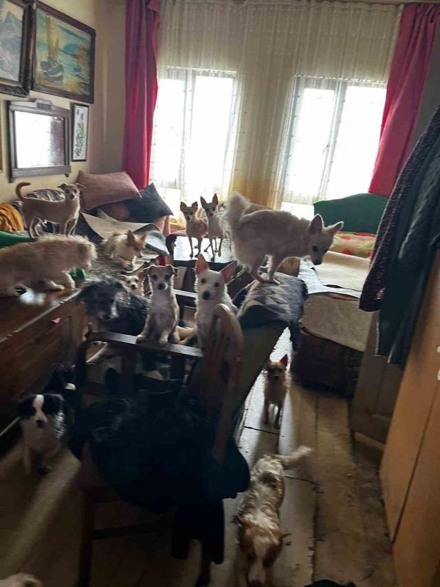 Kapı a&ccedil;ılınca karşılaşılan manzara şoke etti 1