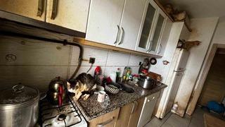 Kapı açılınca karşılaşılan manzara şoke etti