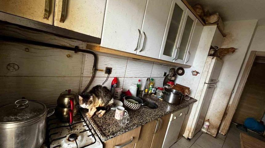 Kapı a&ccedil;ılınca karşılaşılan manzara şoke etti