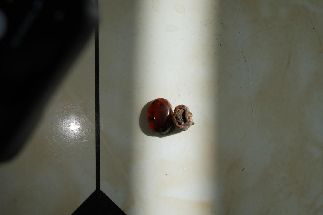 Bayburtlu ustanın milyonlarca yıllık keşfi: Zanaatını işlerken ortaya &ccedil;ıktı 6