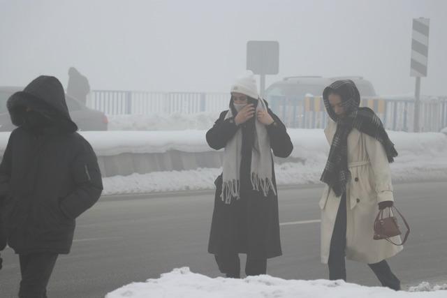 Doğu Anadolu da 6 ilde dondurucu soğuklar yaşamı güçleştiriyor 12