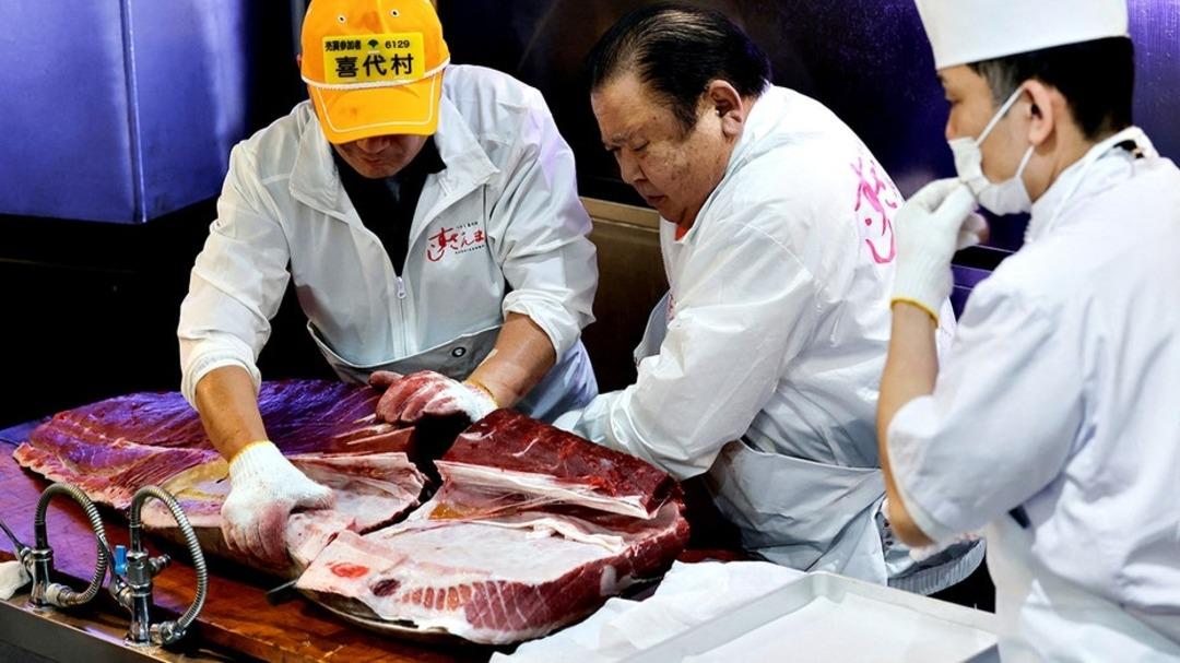 Dev orkinos servet değerine satıldı! İşte fiyatı 1