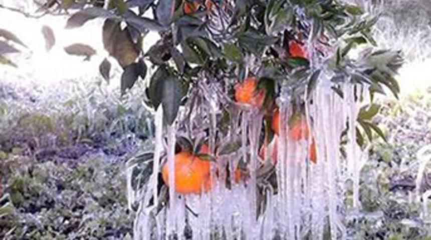 Antalya'da fırtına hayatı fel&ccedil; etti