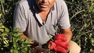 Şanlıurfa’da asansör faciası: Boşluğa düşen servis şoförü hayatını kaybetti