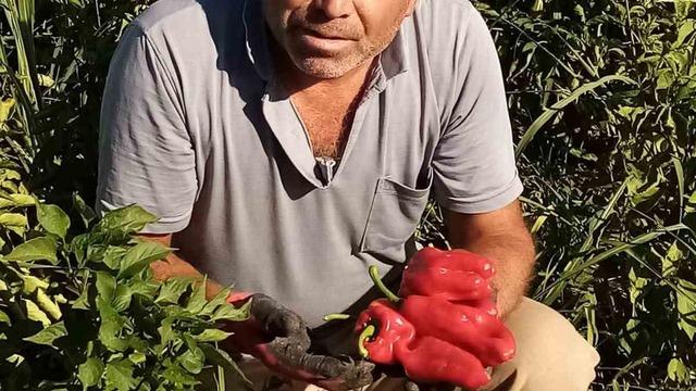 Şanlıurfa’da asansör faciası: Boşluğa düşen servis şoförü hayatını kaybetti