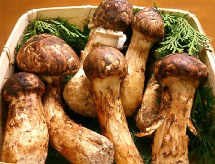 Dünyanın en pahalı 10 yiyeceği G1