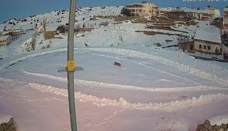 Vaşaklar ile kurtlar arasındaki kovalamaca kamerada