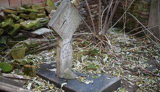 Osmanlı d&ouml;neminden! Apartman bah&ccedil;esinde kaldı!