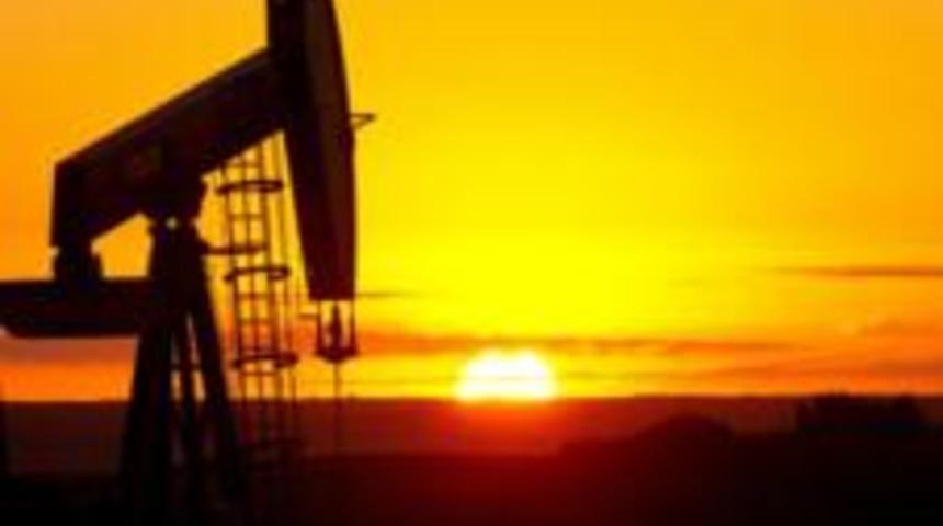 'OPEC &uuml;retimi kısmazsa petrol 200 dolara &ccedil;ıkar'