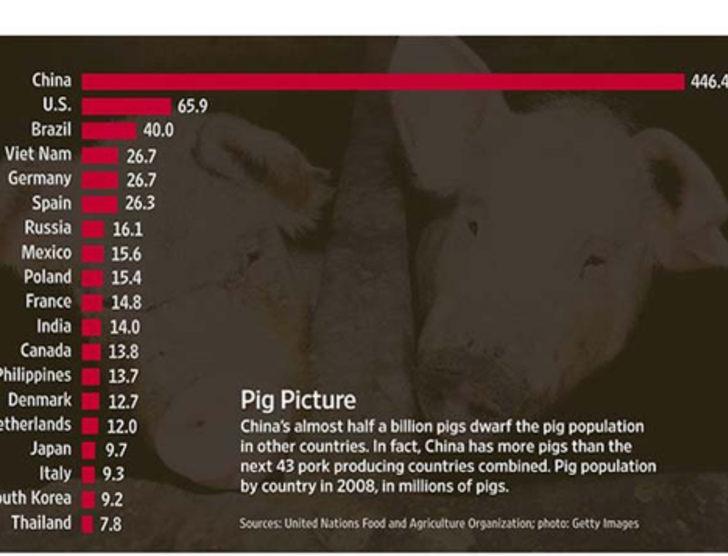 Country facts. 10 Фактов о современном Китае. How many tons have produced Pork?.