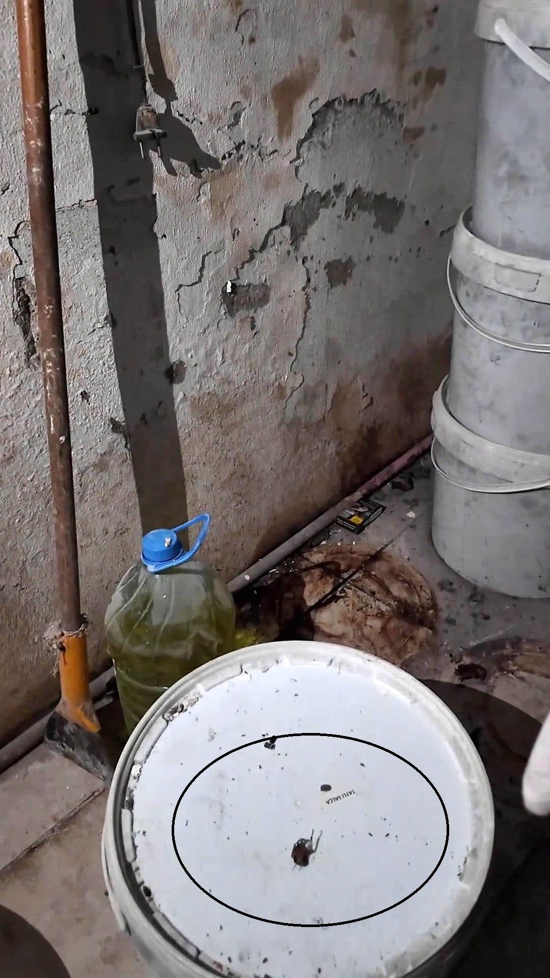 Burası bir fırın! Görüntüler ekipleri bile şoke etti: "Fareyi geçtim, yılan çıkacak" 2