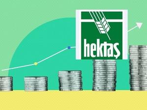 Hektaş'tan sermaye hamlesi: Tavan 25 milyar TL'ye yükseliyor, hisseler hareketlendi