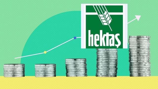 Hektaş'tan sermaye hamlesi: Tavan 25 milyar TL'ye y&uuml;kseliyor, hisseler hareketlendi