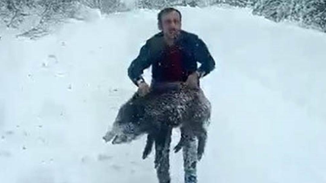 T&uuml;rkiye &ccedil;ıplak elle domuz yakalayan adamı konuştu: "İnsanı par&ccedil;alayabilir, &ouml;nermiyorum" 1