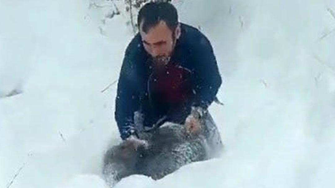 T&uuml;rkiye &ccedil;ıplak elle domuz yakalayan adamı konuştu: "İnsanı par&ccedil;alayabilir, &ouml;nermiyorum" 2