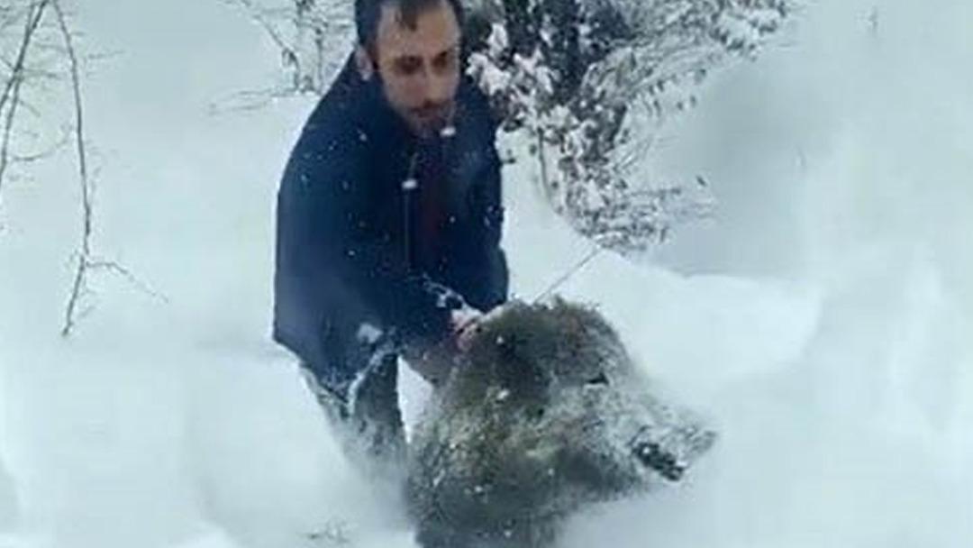T&uuml;rkiye &ccedil;ıplak elle domuz yakalayan adamı konuştu: "İnsanı par&ccedil;alayabilir, &ouml;nermiyorum" 3