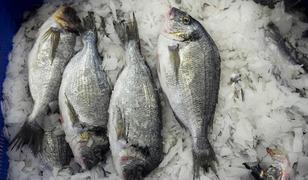 Su &uuml;r&uuml;nleri 2025'te rekor ihracata ulaştı