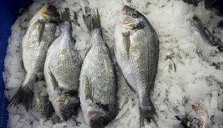 Su &uuml;r&uuml;nleri 2025'te rekor ihracata ulaştı