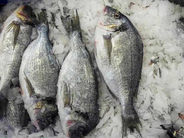 Su &uuml;r&uuml;nleri 2025'te rekor ihracata ulaştı