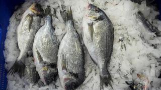 Su ürünleri 2025'te rekor ihracata ulaştı