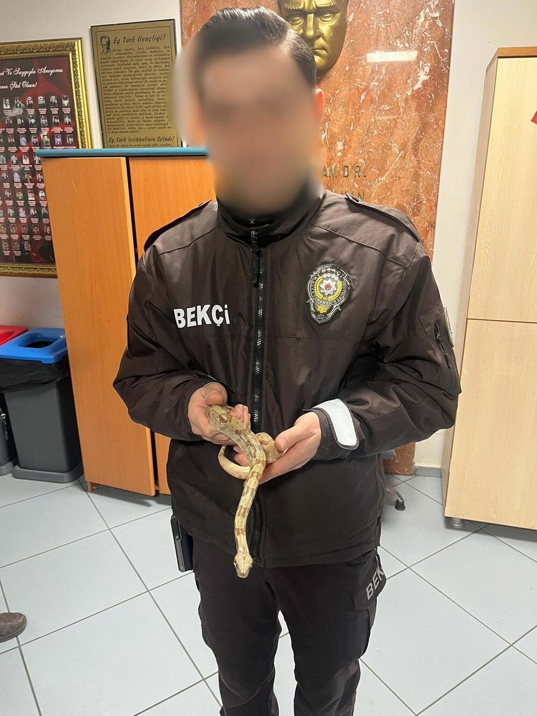 İzmir de  yok artık  dedirten olay! Kafede mısır yılanı besliyormuş 2