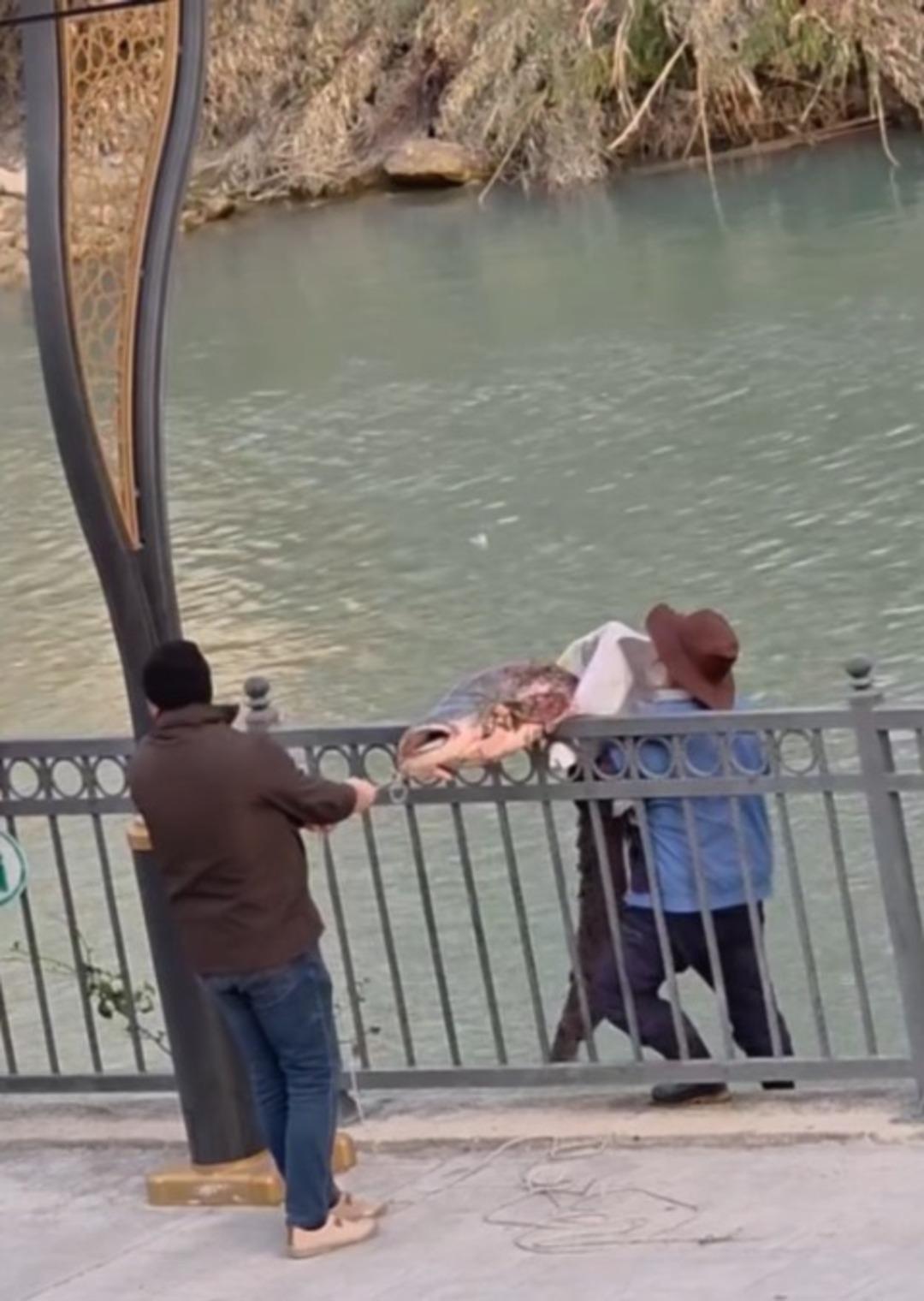 30 kilo ağırlığında! G&ouml;ren telefonuna sarıldı: Tam bir  acemi şansı  3