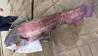 30 kilo ağırlığında! G&ouml;ren telefonuna sarıldı