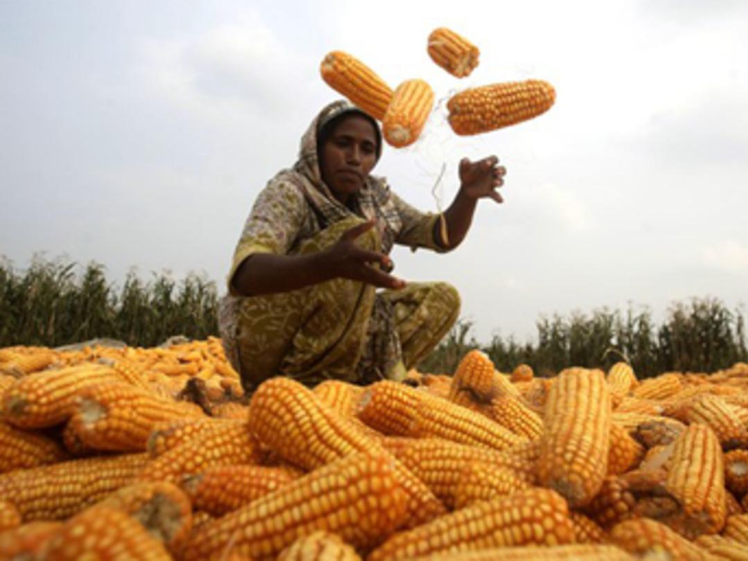 Şans eseri bulunan icatlar