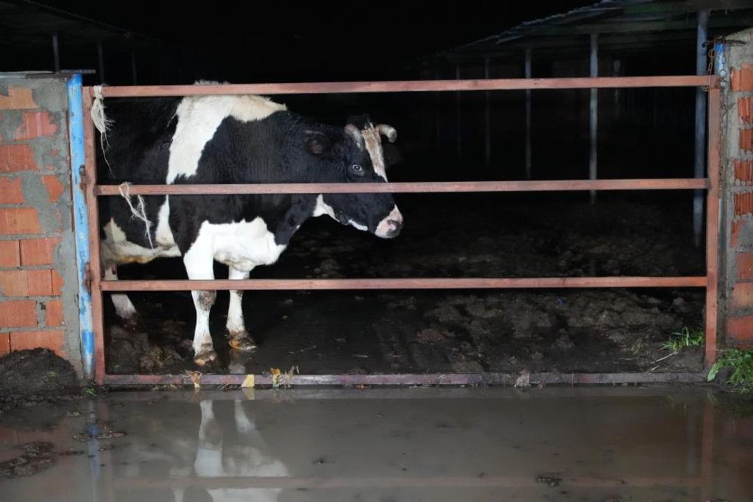 Edirne de sağanak yağış, su baskınlarına yol a&ccedil;tı 1