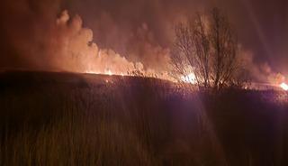 Eber G&ouml;l&uuml;'nde 5 farklı noktada yangın &ccedil;ıktı