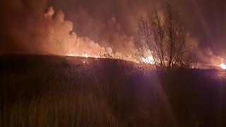 Eber Gölü'nde 5 farklı noktada yangın çıktı