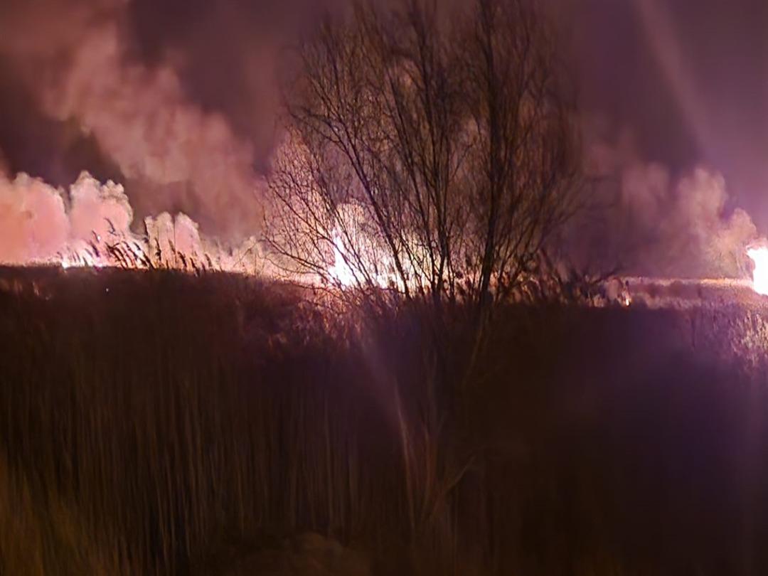 Eber G&ouml;l&uuml; nde 5 farklı noktada yangın &ccedil;ıktı 1