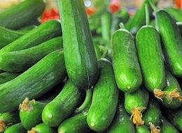 Ağustos'ta zam şampiyonu salatalık oldu