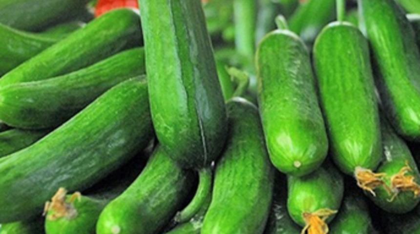 Ağustos'ta zam şampiyonu salatalık oldu