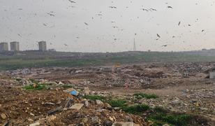 Katık atık tesisinde vahşi depolama yapan Bursa B&uuml;y&uuml;kşehir Belediyesi'ne para cezası!