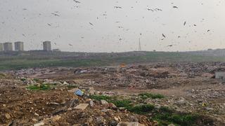 Katık atık tesisinde vahşi depolama yapan Bursa Büyükşehir Belediyesi'ne para cezası!