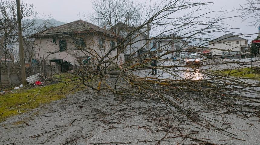 D&uuml;zce ve Kocaeli'de şiddetli r&uuml;zgar bazı binaların &ccedil;atısını u&ccedil;urdu, ağa&ccedil;ları devirdi