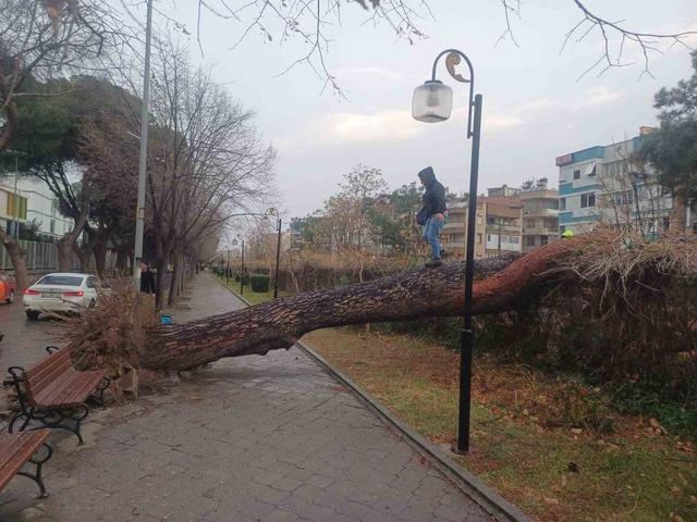 Salihli&rsquo;yi fırtına vurdu, ağa&ccedil;lar devrildi, &ccedil;atılar u&ccedil;tu 8