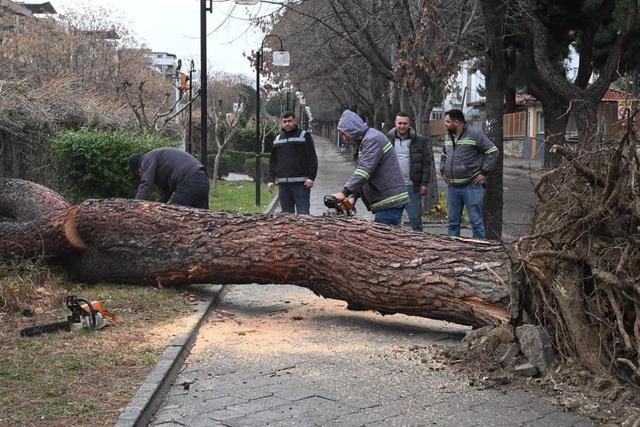 Salihli’yi fırtına vurdu, ağaçlar devrildi, çatılar uçtu 5