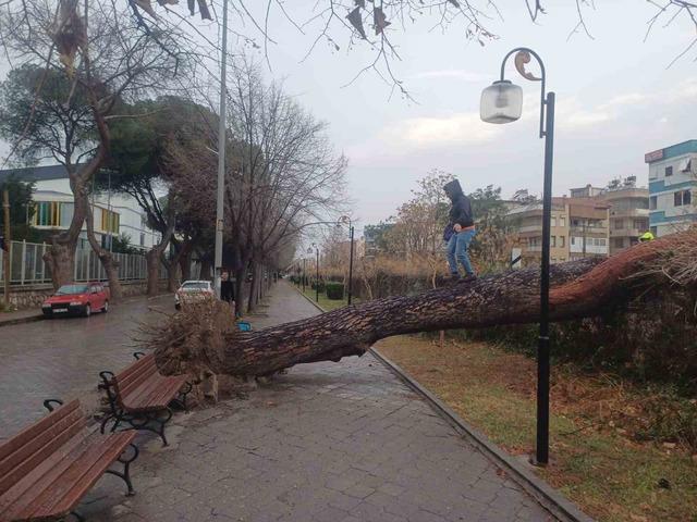 Salihli’yi fırtına vurdu, ağaçlar devrildi, çatılar uçtu 2