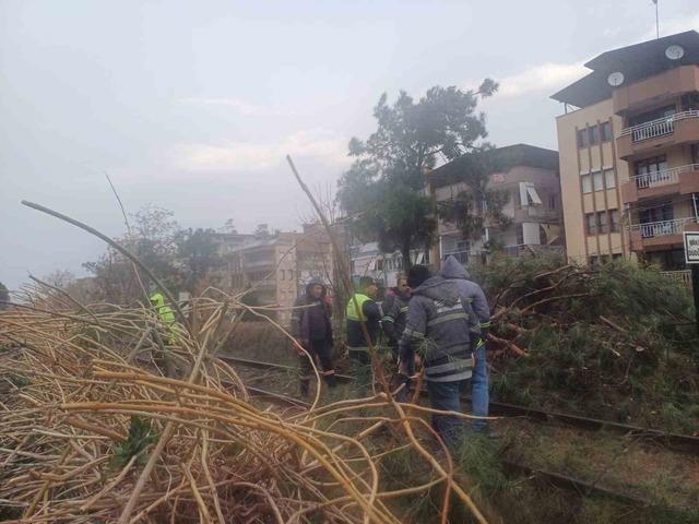 Salihli’yi fırtına vurdu, ağaçlar devrildi, çatılar uçtu 1