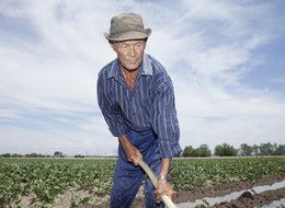 Çiftçilere güzel haber