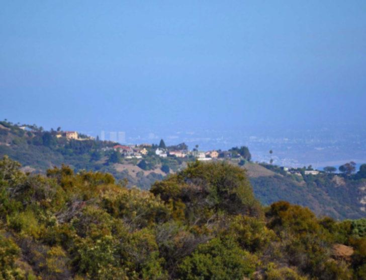 En genç milyarderin görkemli hayatı G2