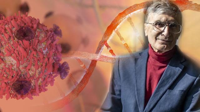 Bu deney çok konuşulacak! Kansere çözüm mü bulundu? Aziz Sancar'dan büyük başarı