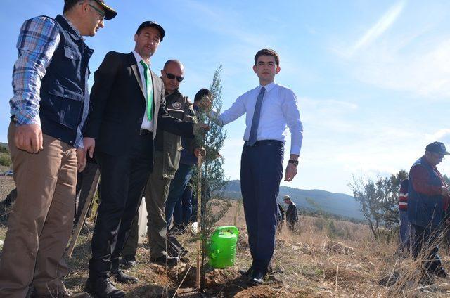 Kargı’da 250 Fidan toprakla buluşturuldu