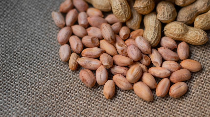 Fıstık kuruyemiş mi? Nasıl oluyor da kuruyemiş sayılmıyor?