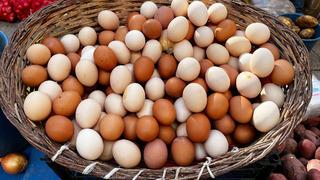Neden bazı yumurtaların kabuğu kahverengidir?