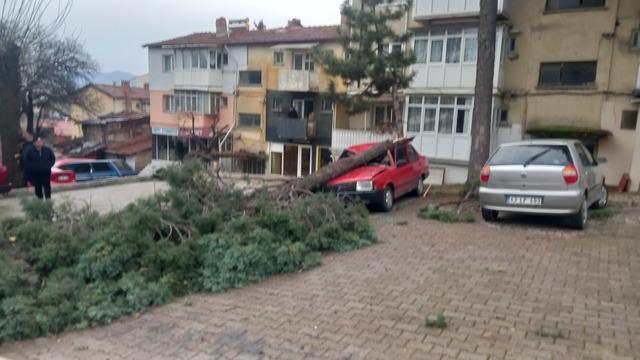 Gediz’de şiddetli rüzgar ağaçları devirdi, binalarda hasara sebep oldu