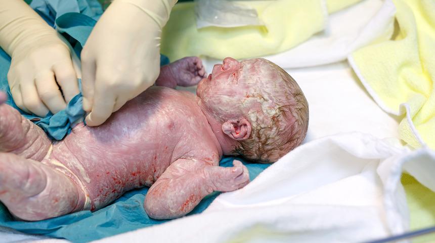 Doğum fantezileri... Vajinal tohumlama nedir?